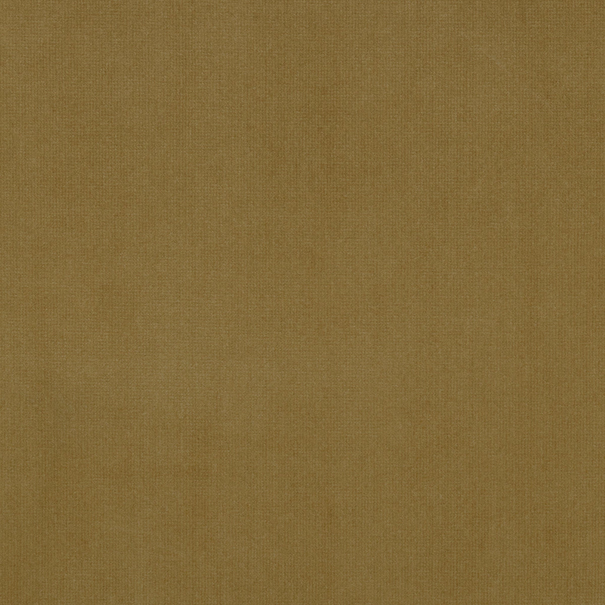 Fabric Sample