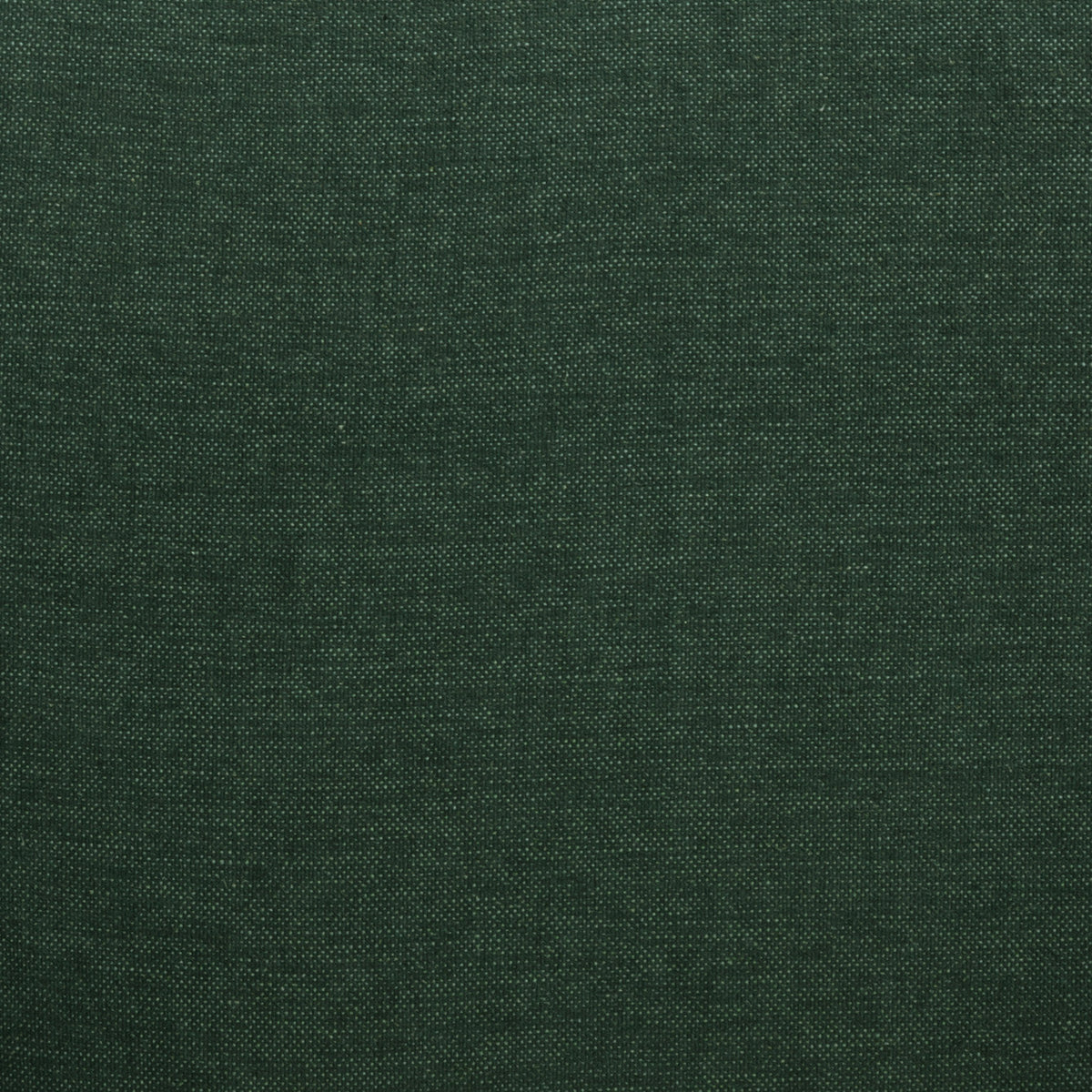 Fabric Sample