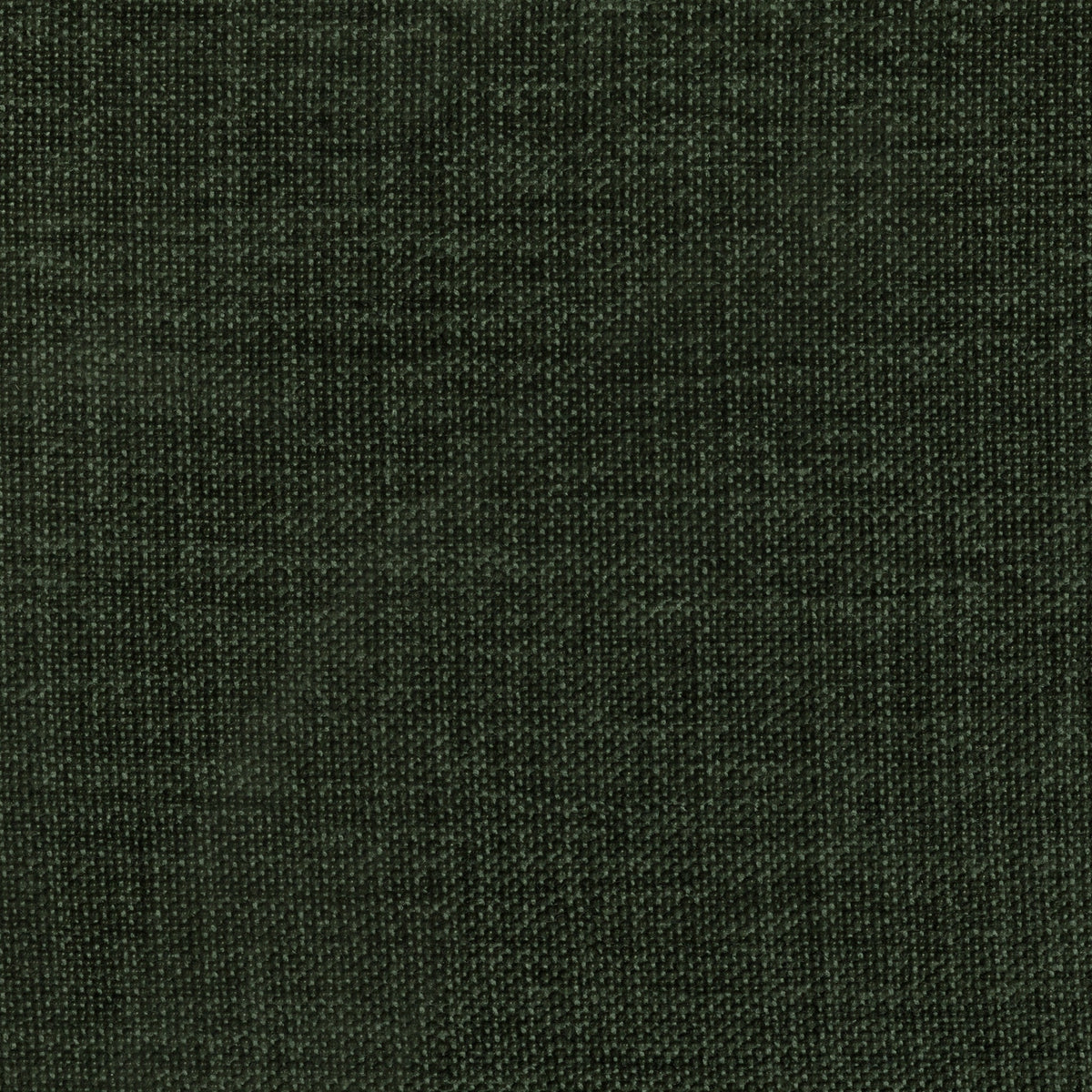 Fabric Sample