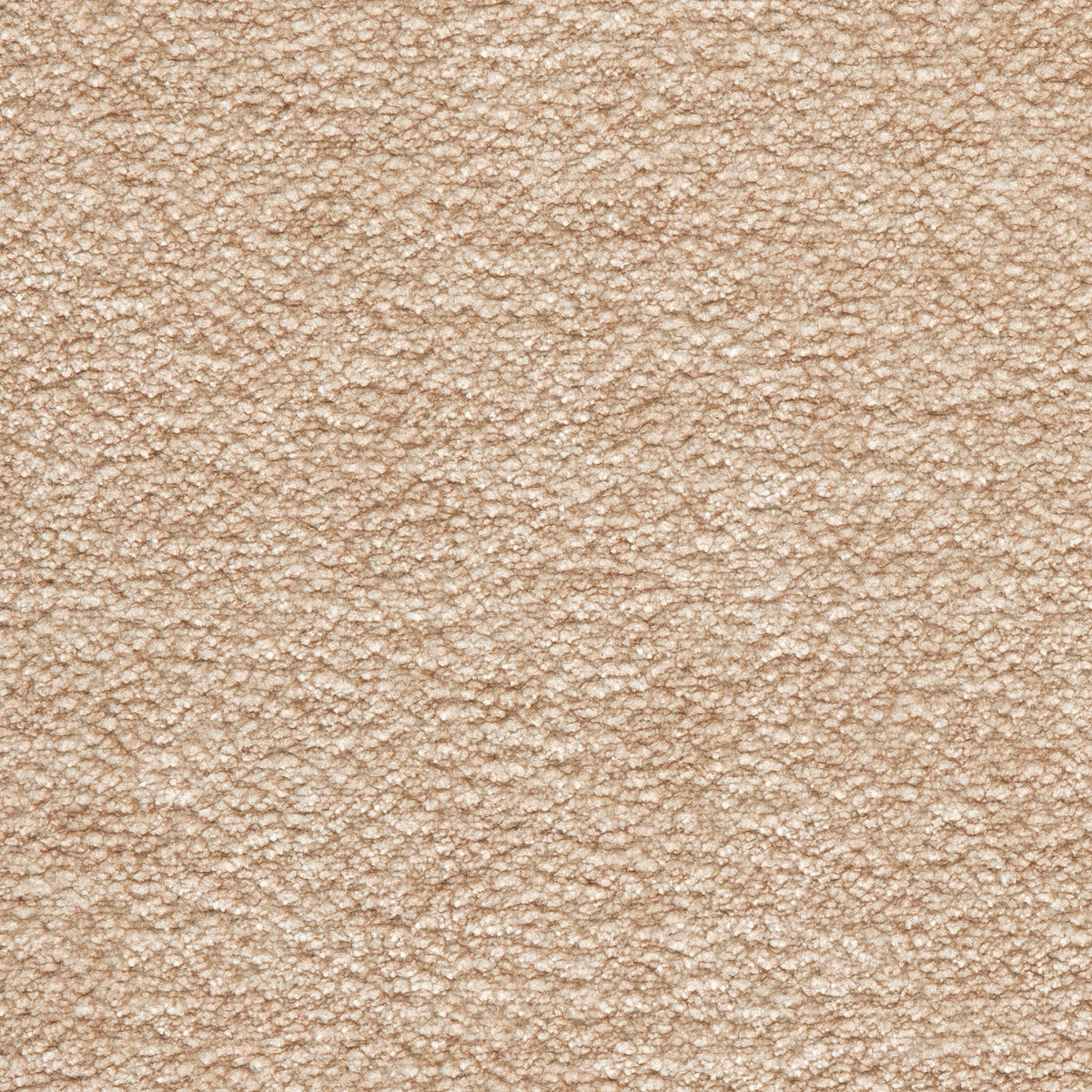 Fabric Sample