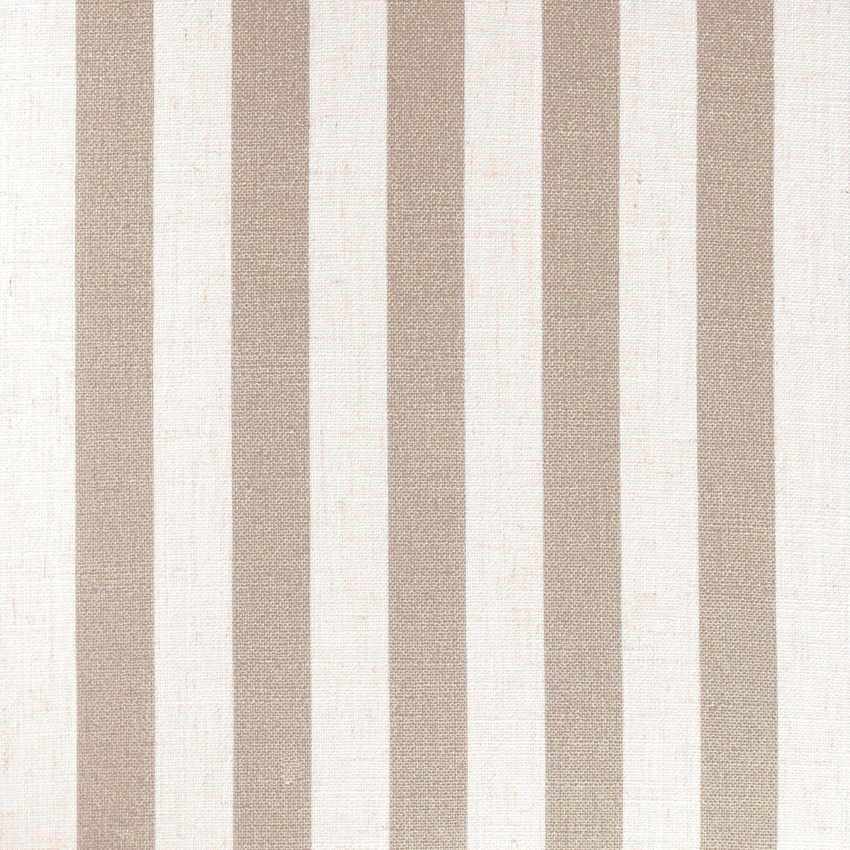 Fabric Sample