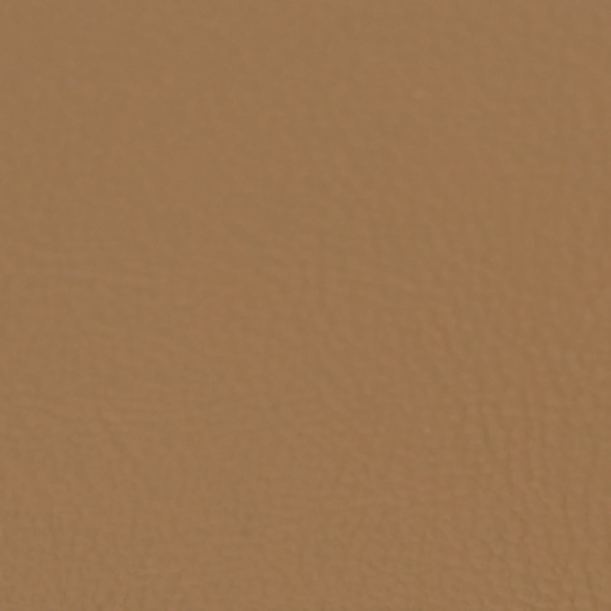 Fabric Sample