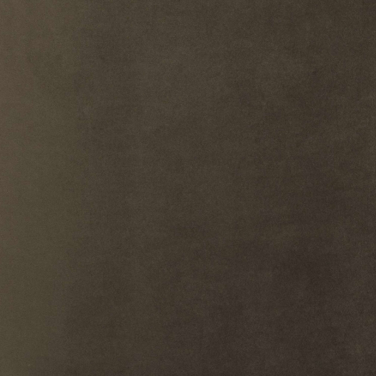 Fabric Sample