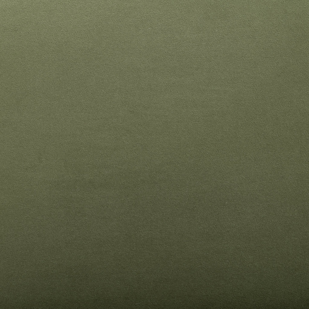 Fabric Sample