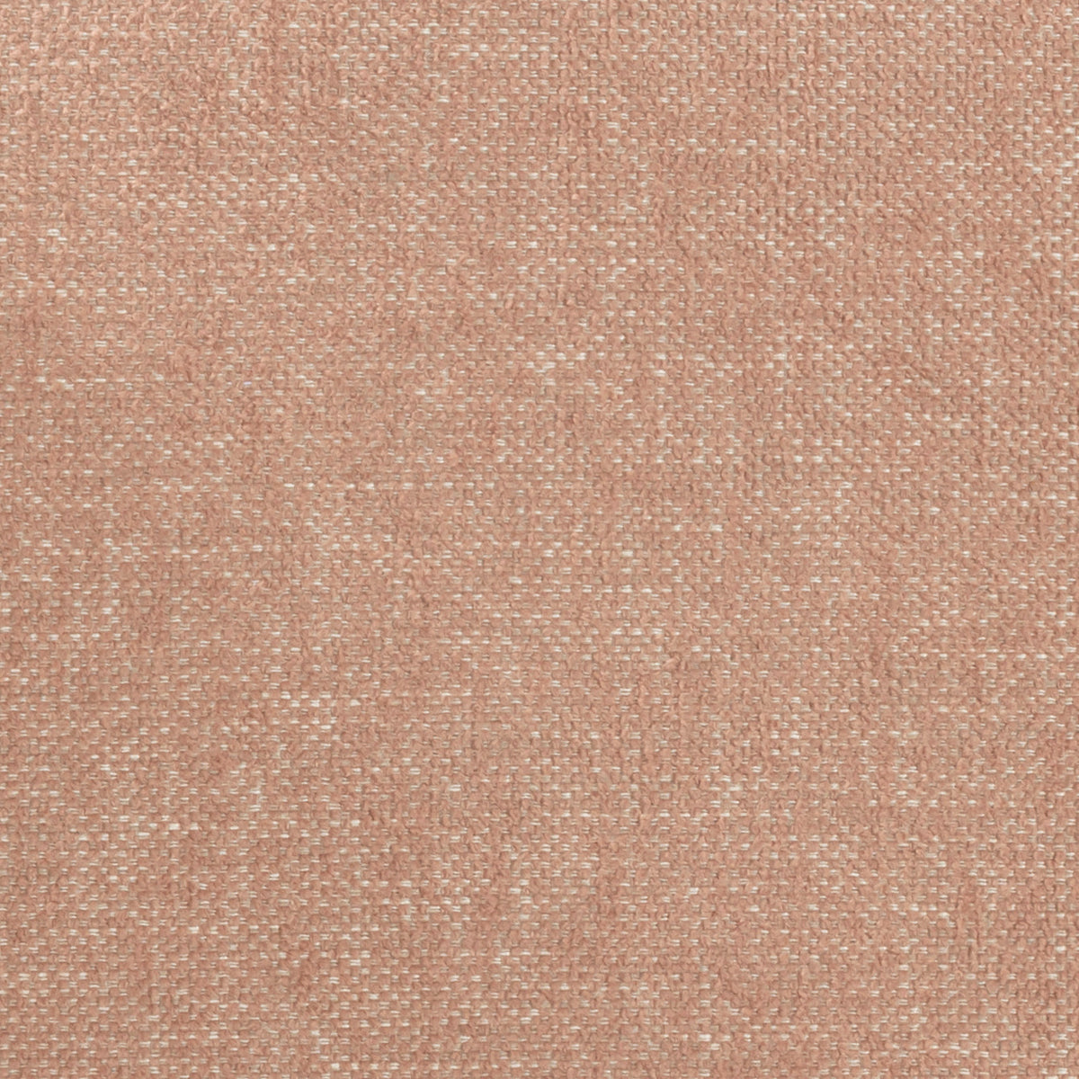 Fabric Sample
