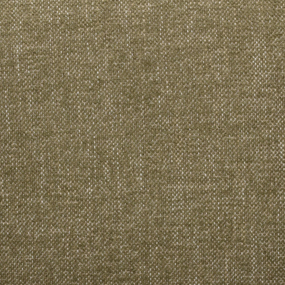 Fabric Sample