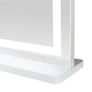 Lola LED Panel Vanity Mirror (25"-41")