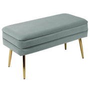 Ziva 31" Velvet Storage Bench