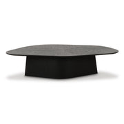 Roche 50" Ash Low Coffee Table