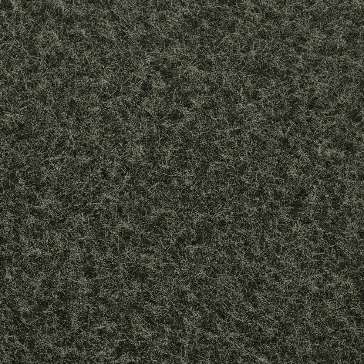 Fabric Sample