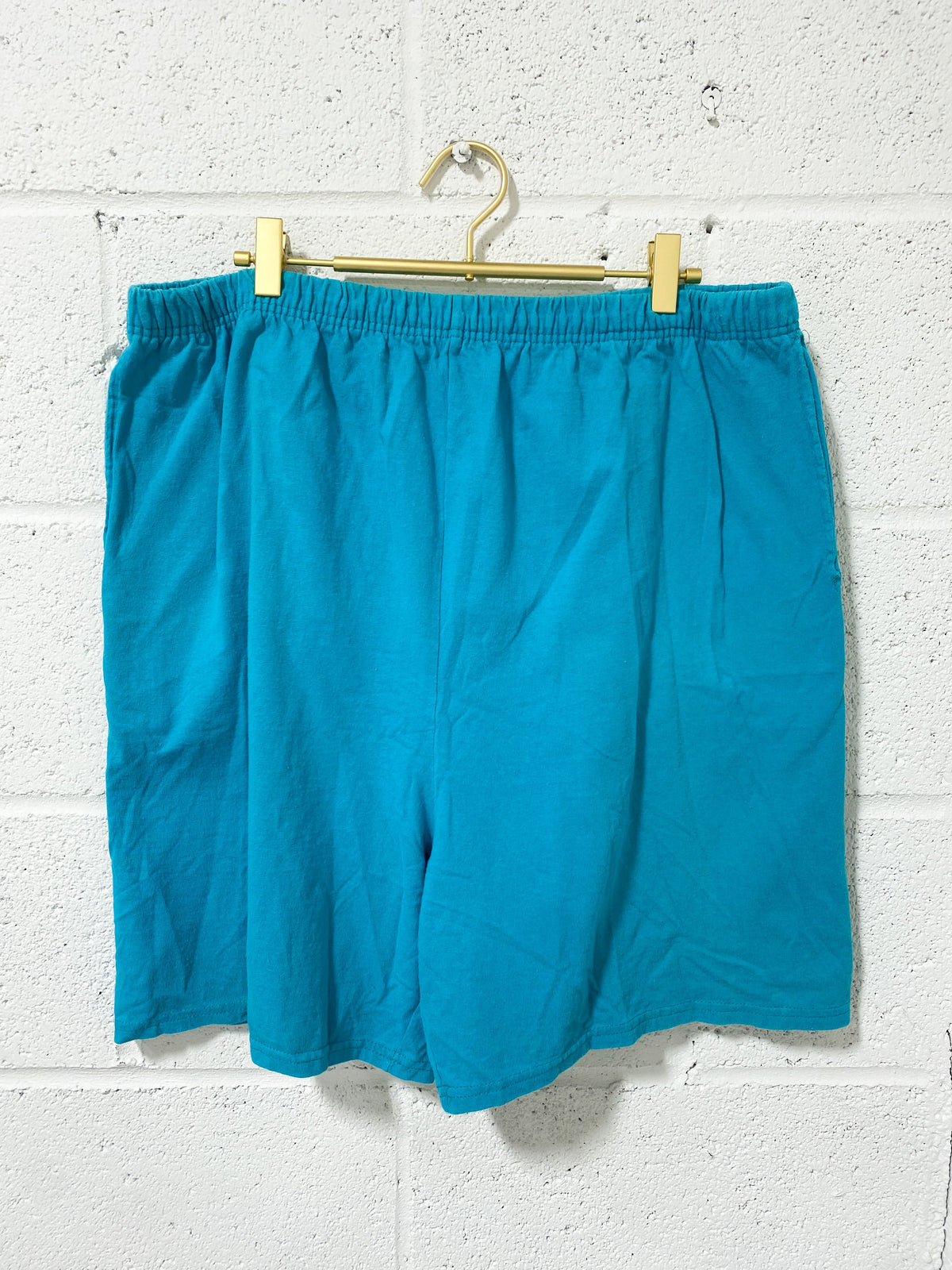 Vintage Soft Turquoise Shorts (18W)