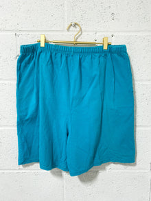 Vintage Soft Turquoise Shorts (18W)