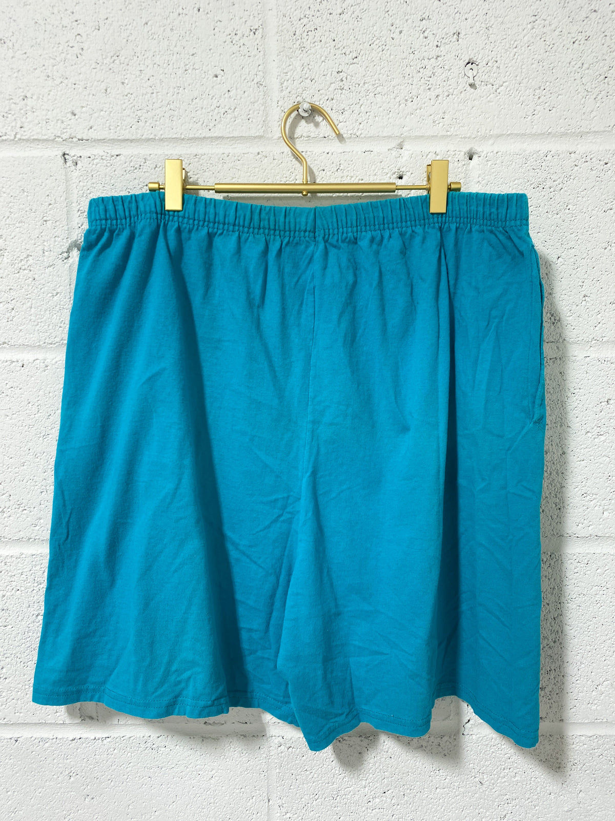 Vintage Soft Turquoise Shorts (18W)