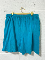 Vintage Soft Turquoise Shorts (18W)