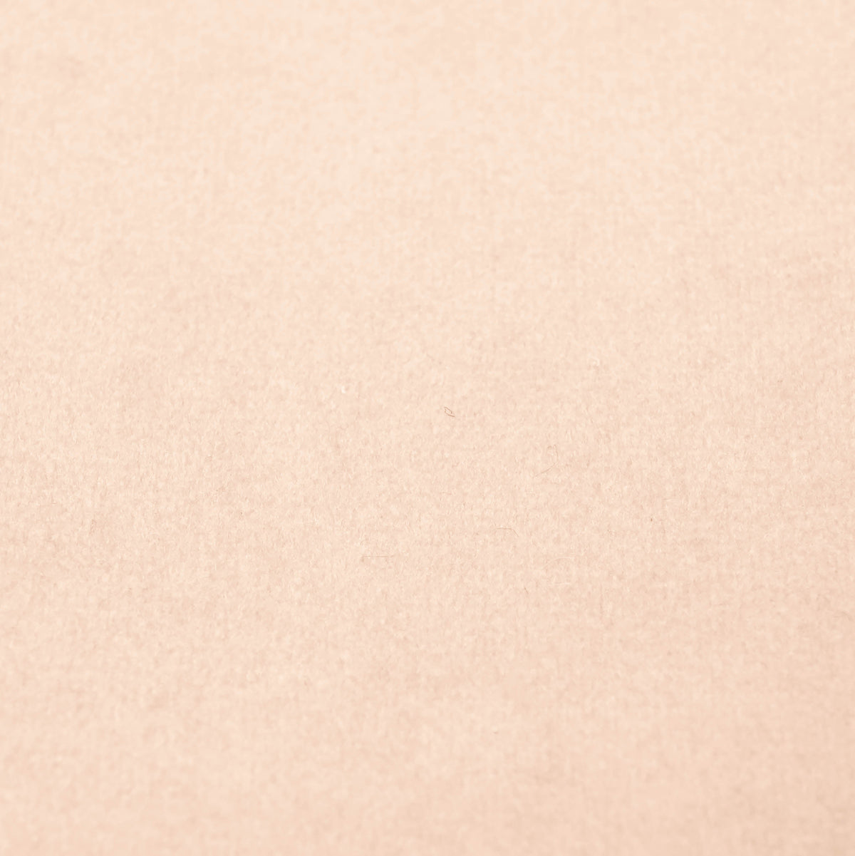 Fabric Sample