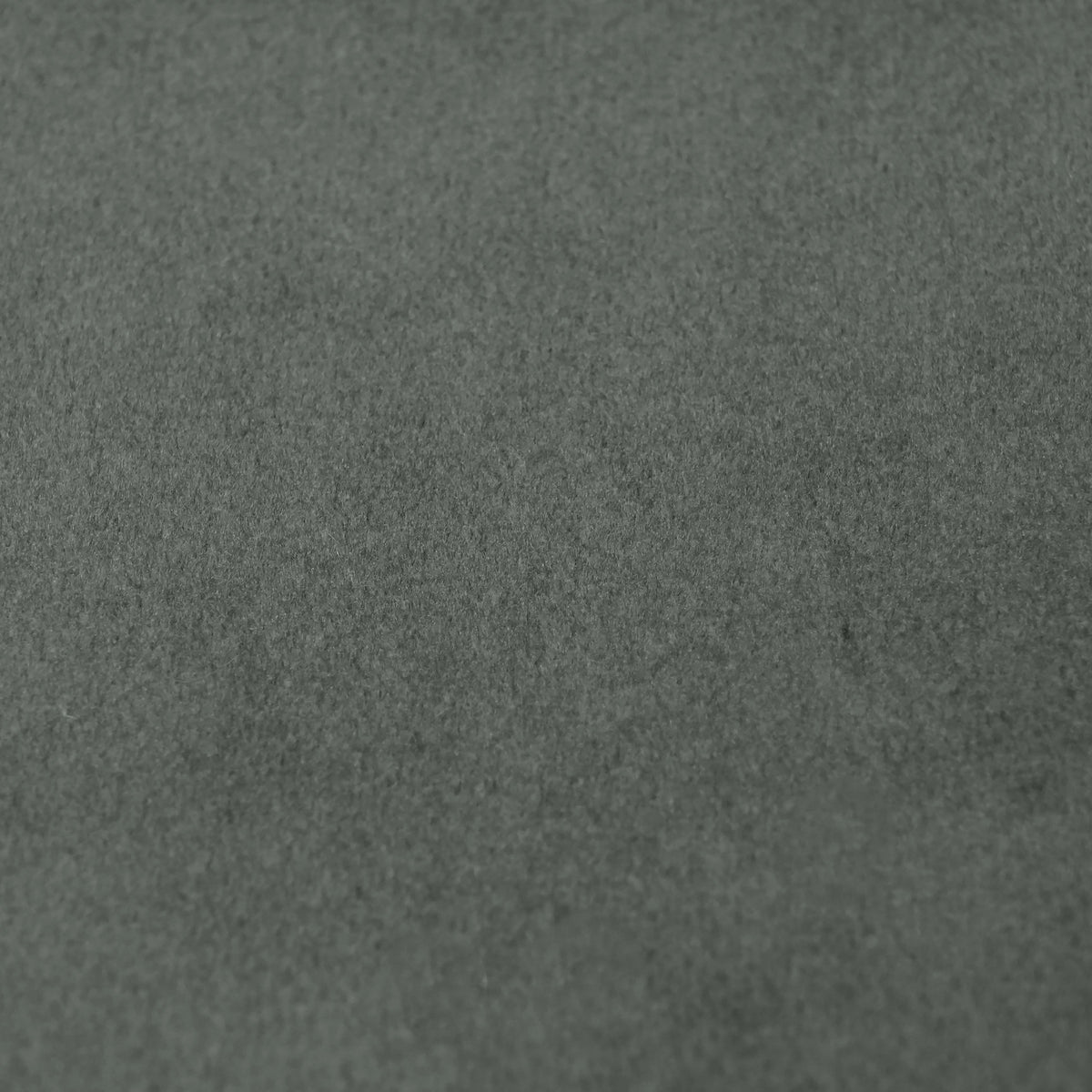 Fabric Sample