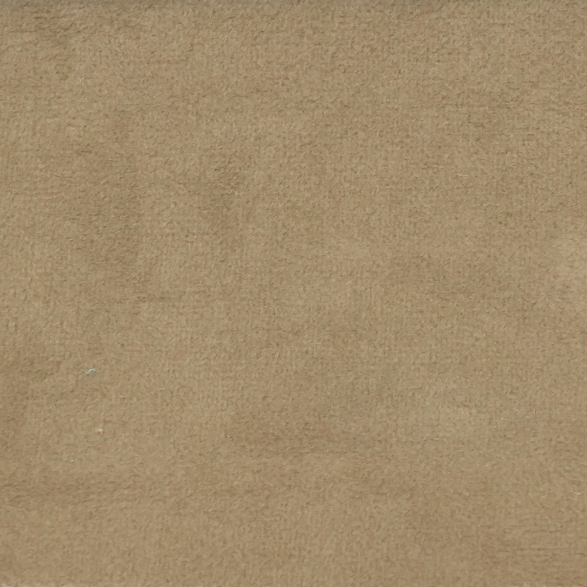 Fabric Sample