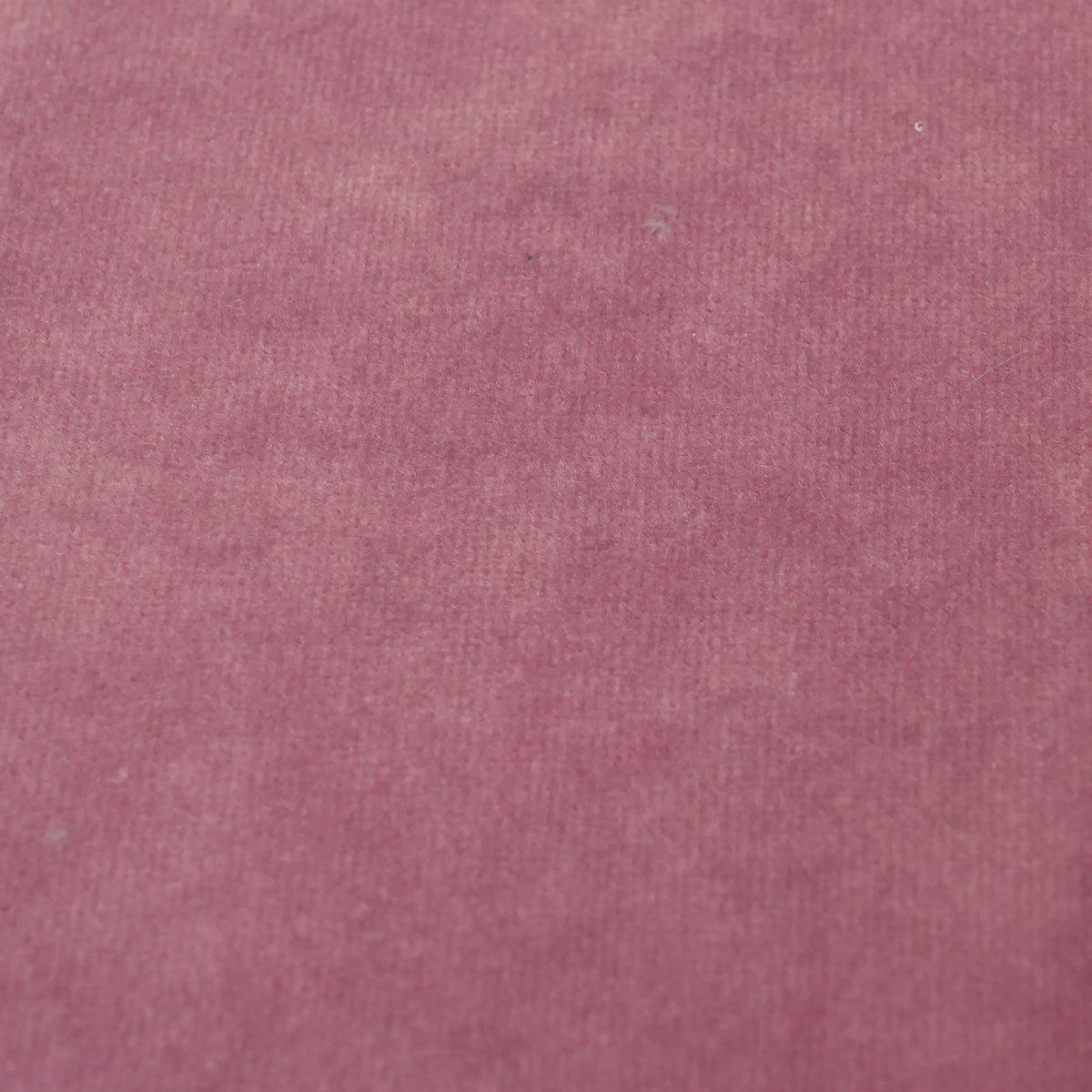 Fabric Sample