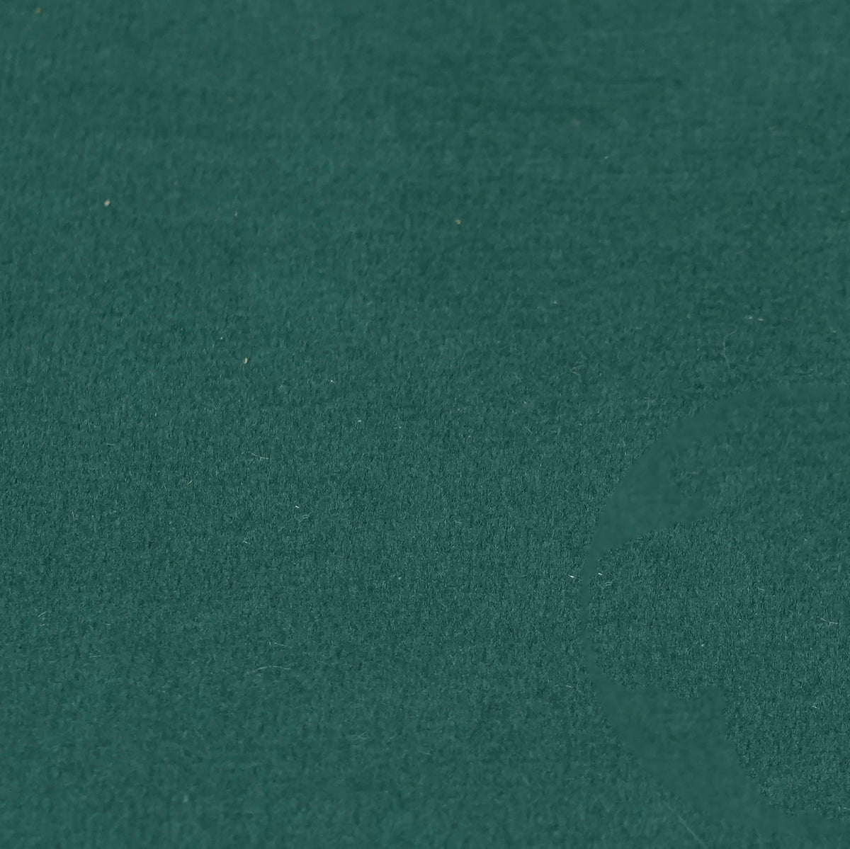 Fabric Sample
